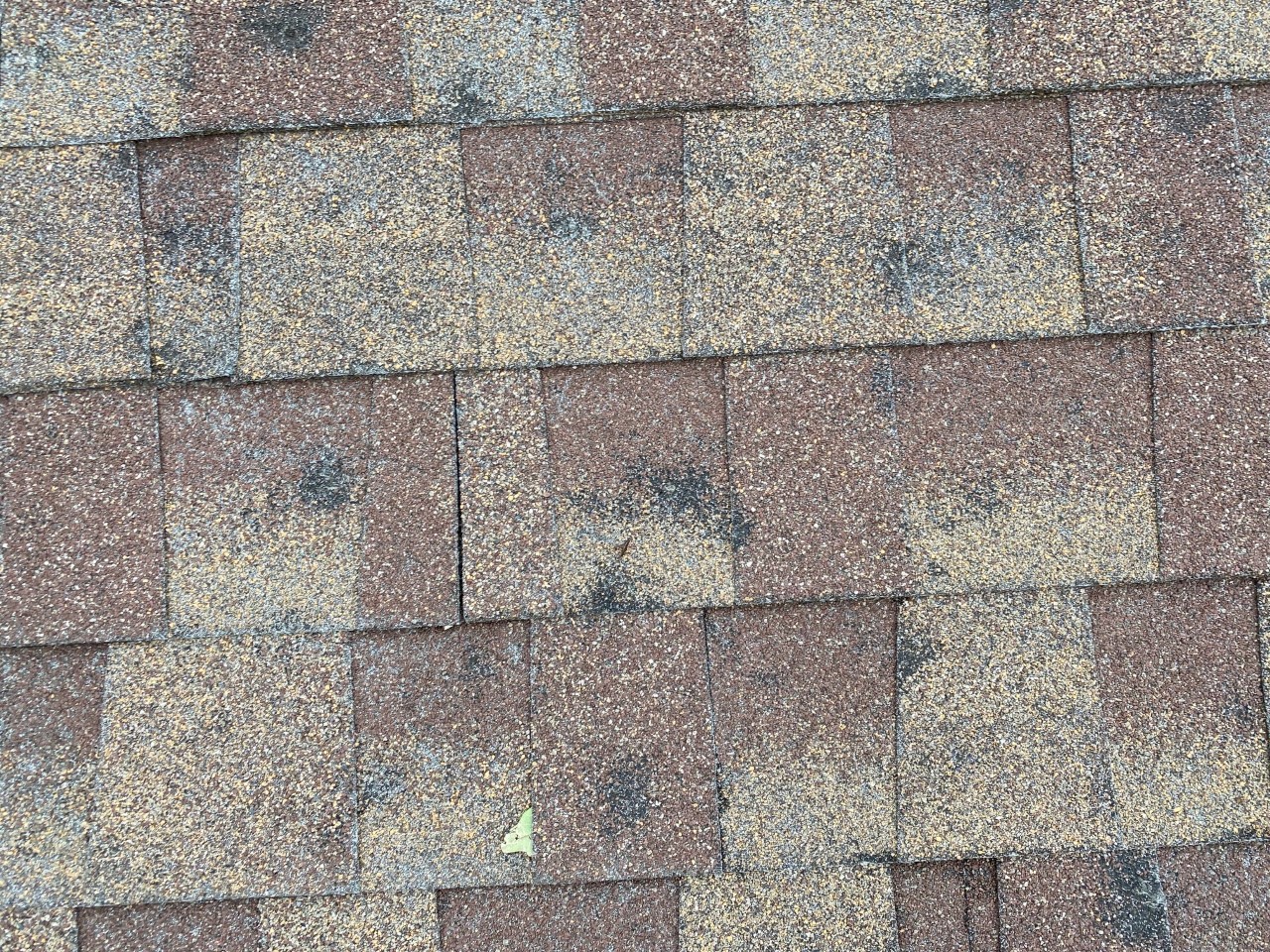 Close-up of asphalt shingles with mineral granules.